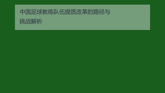中国足球教练队伍提质改革的路径与挑战解析