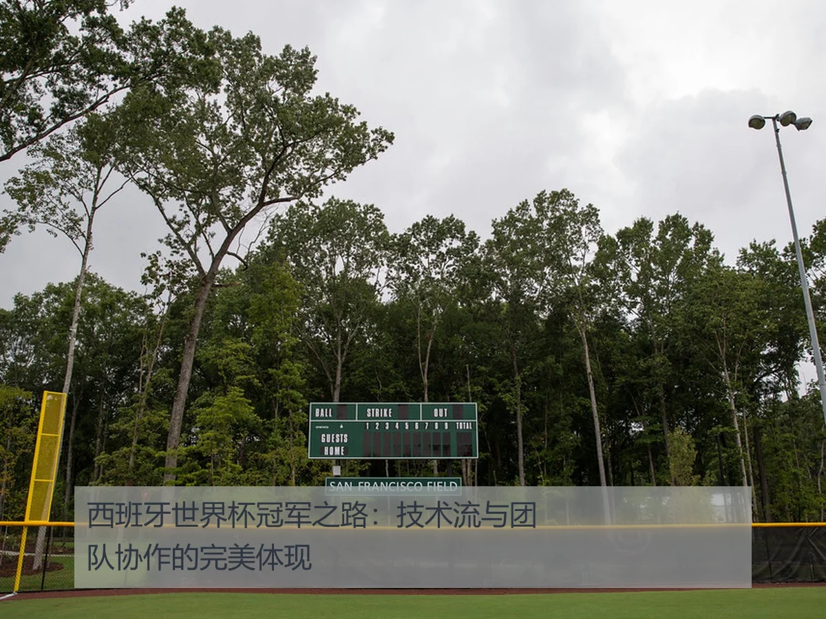 西班牙世界杯冠军之路:技术流与团队协作的完美体现